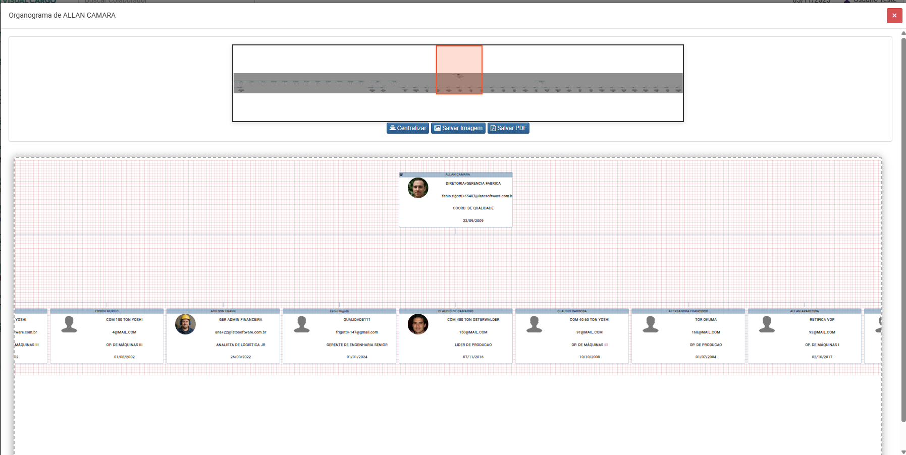 Organograma Visual Cargo